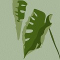 妻社网页版——超清上手零门槛解析秘籍