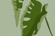 妻社网页版——超清上手零门槛解析秘籍